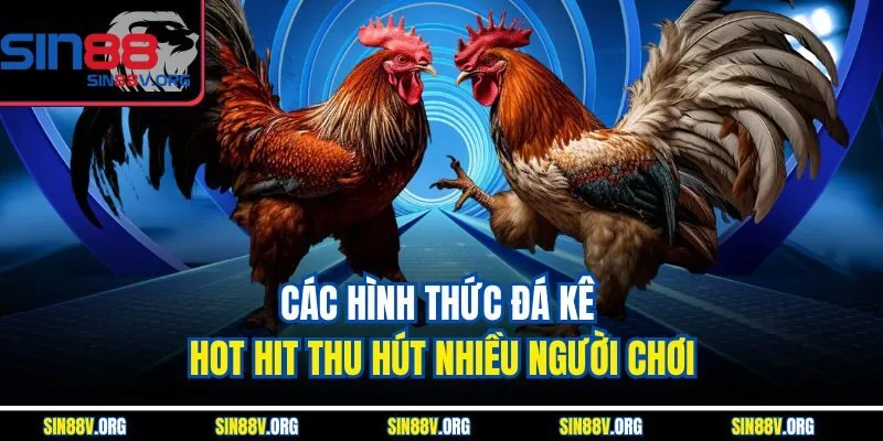 cac-hinh-thuc-da-ke-hot-hit-thu-hut-nhieu-nguoi-choi