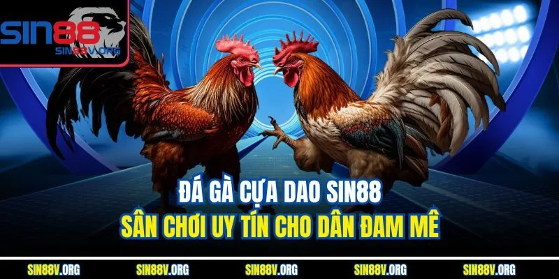 Đá Gà Cựa Dao Sin88 – Sân Chơi Uy Tín Cho Dân Đam Mê