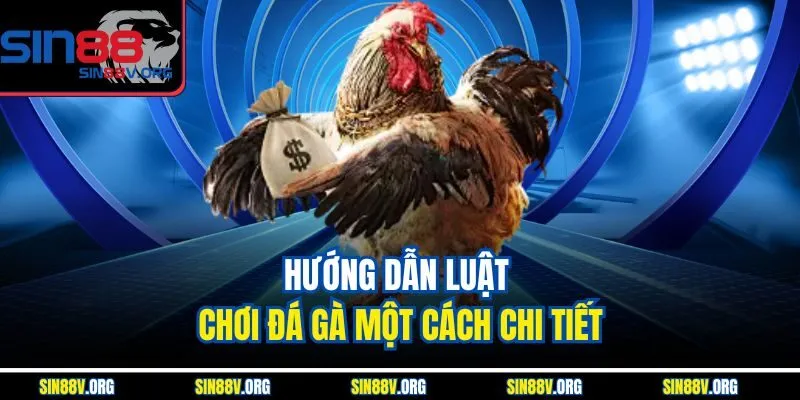 huong-dan-luat-choi-da-ga-mot-cach-chi-tiet