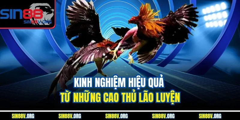kinh-nghiem-hieu-qua-tu-nhung-cao-thu-lao-luyen
