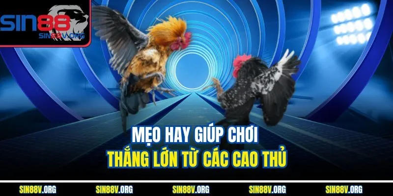 meo-hay-giup-choi-thang-lon-tu-cac-cao-thu