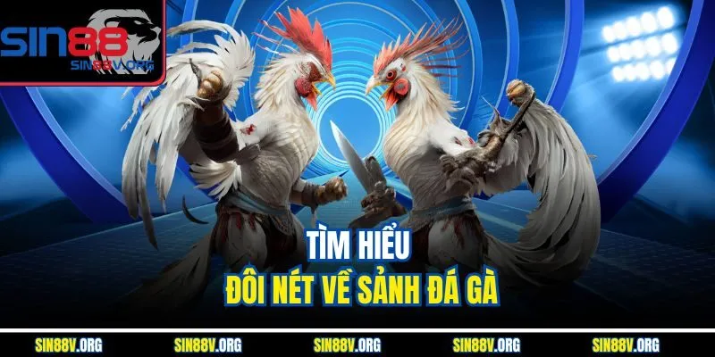 tim-hieu-doi-net-ve-sanh-da-ga