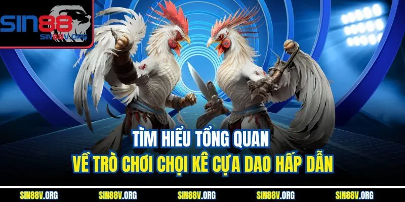 tim-hieu-tong-quan-ve-tro-choi-choi-ke-cua-dao-hap-dan